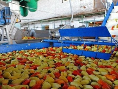 CÔNG TY CP CẢNG RAU QUẢ Là Ai?