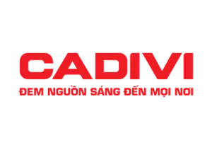 CÔNG TY CP DÂY CÁP ĐIỆN VIỆT NAM