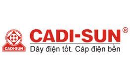 CÔNG TY CP DÂY VÀ CÁP ĐIỆN THƯỢNG ĐÌNH