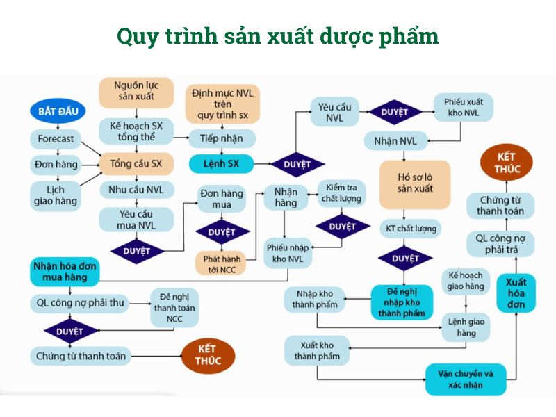 Quy trình sản xuất và nguyên liệu đầu vào