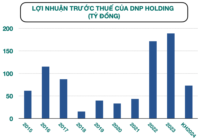 Tình hình tài chính và hiệu quả kinh doanh của DNP Holding