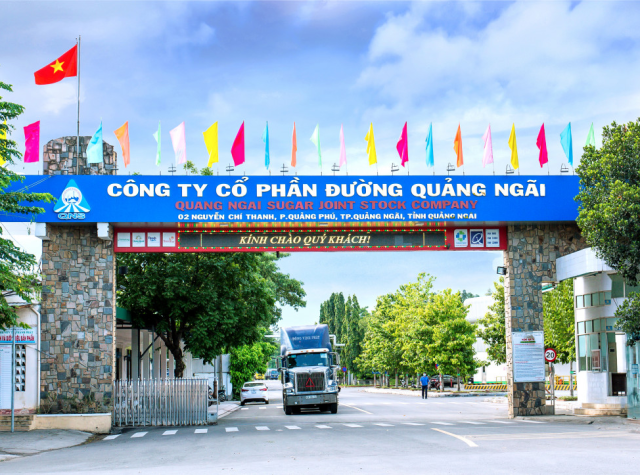 Tổng quan về Công ty Cổ phần Đường Quảng Ngãi (QNS)